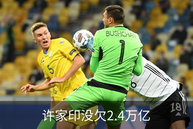 许家印没欠2.4万亿